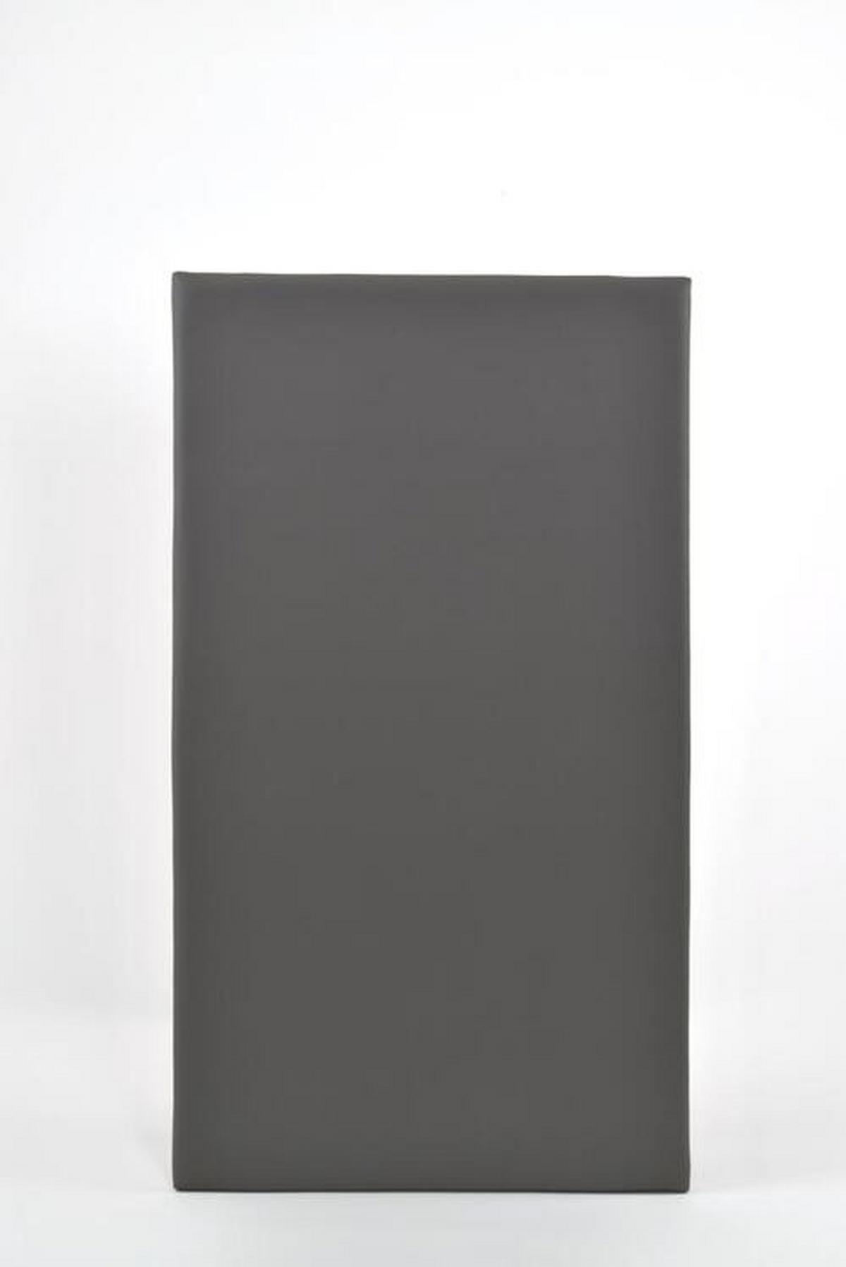 Haustierkissen L/b/h: 100/50/3 Cm Grau Pflegeleicht - Grau, KONVENTIONELL, Holz/Textil (100/50/3cm)