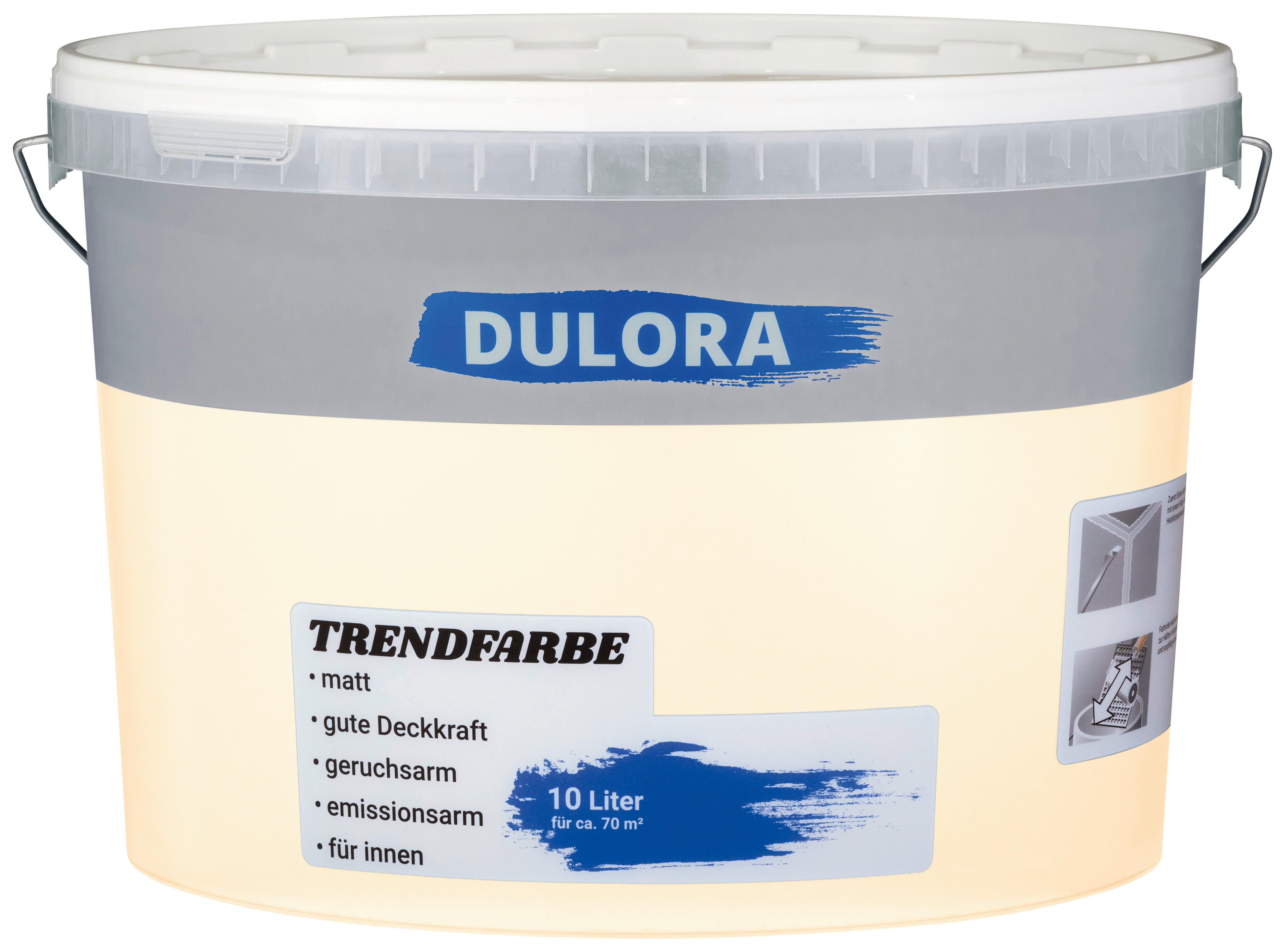Wandfarbe Apicot 10 L für 70 M2 Dispersionsfarbe