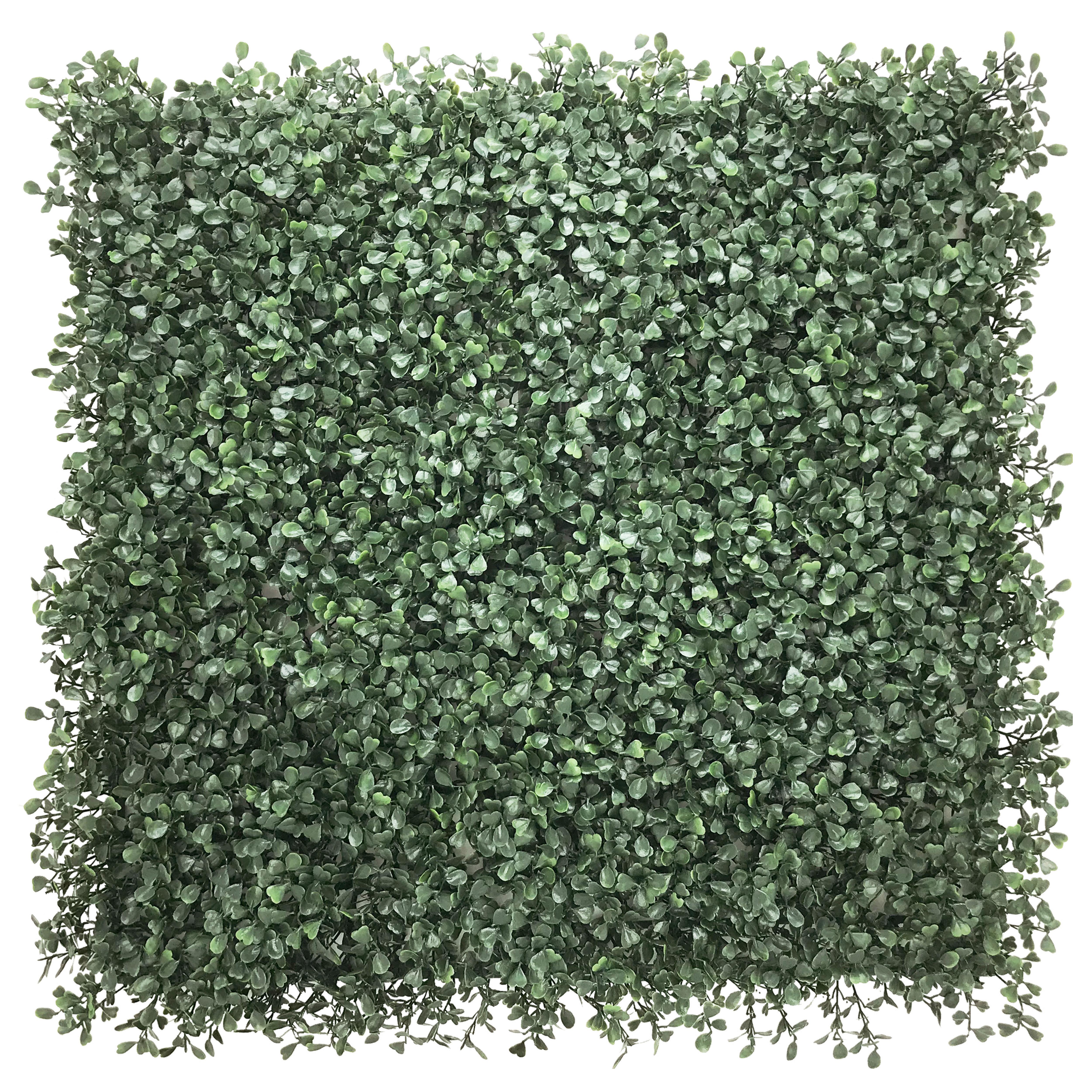 KUNSTPFLANZE Leafluxe Grün B: 50cm - Grün, MODERN, Kunststoff (50/50/7cm) - MID.YOU