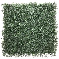 KUNSTPFLANZE Leafluxe Grün B: 50cm - Grün, MODERN, Kunststoff (50/50/7cm) - MID.YOU