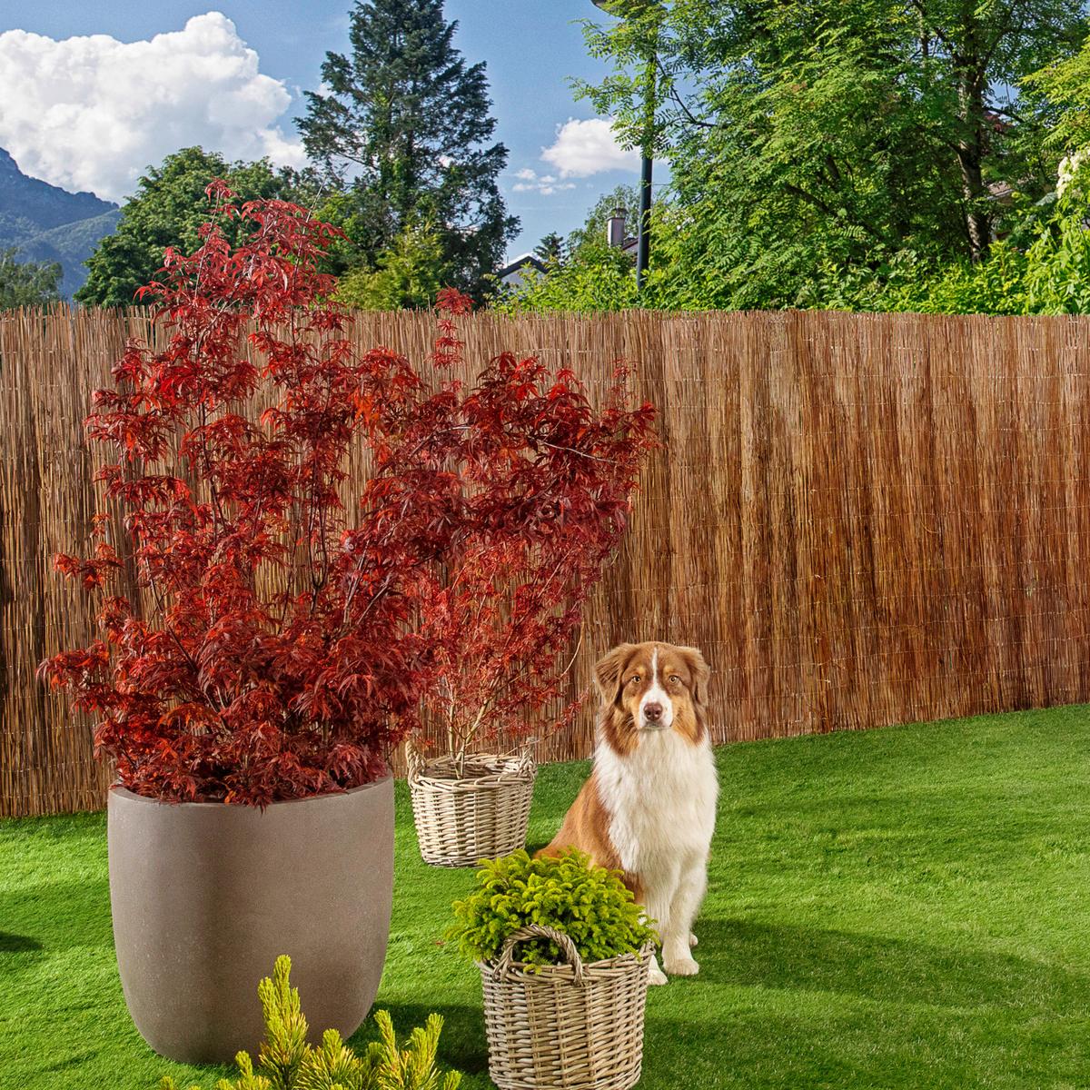 Sichtschutz Inaka Naturfarben - Naturfarben, Basics, Naturmaterialien (300/90cm)