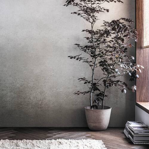 Fototapete Degrade Warm Grau - Grau, Trend, Papier/Kunststoff (300/300cm)