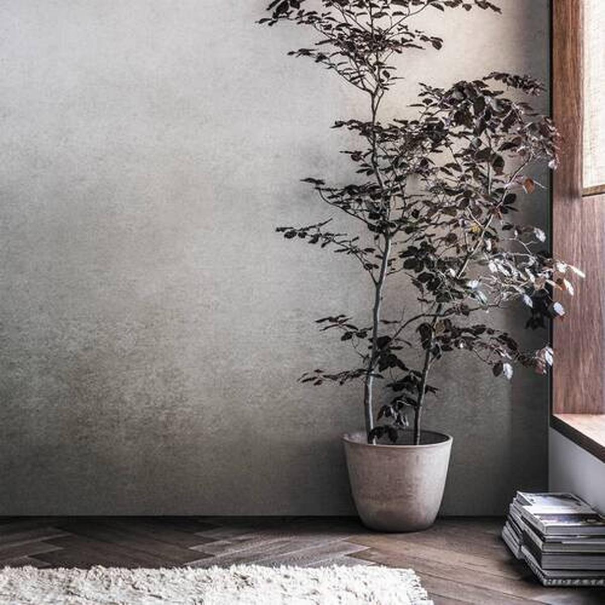 Fototapete Degrade Warm Grau - Grau, Trend, Papier/Kunststoff (300/300cm)