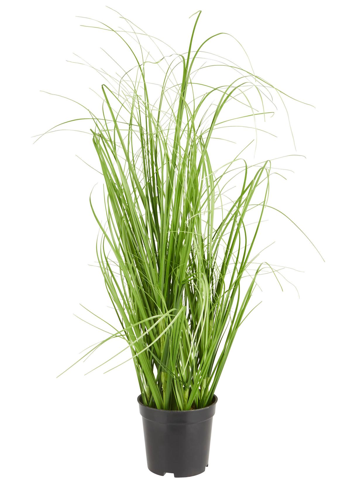 SVAZEK TRÁVY Patrick - zelená, textil (60cm) - Modern Living