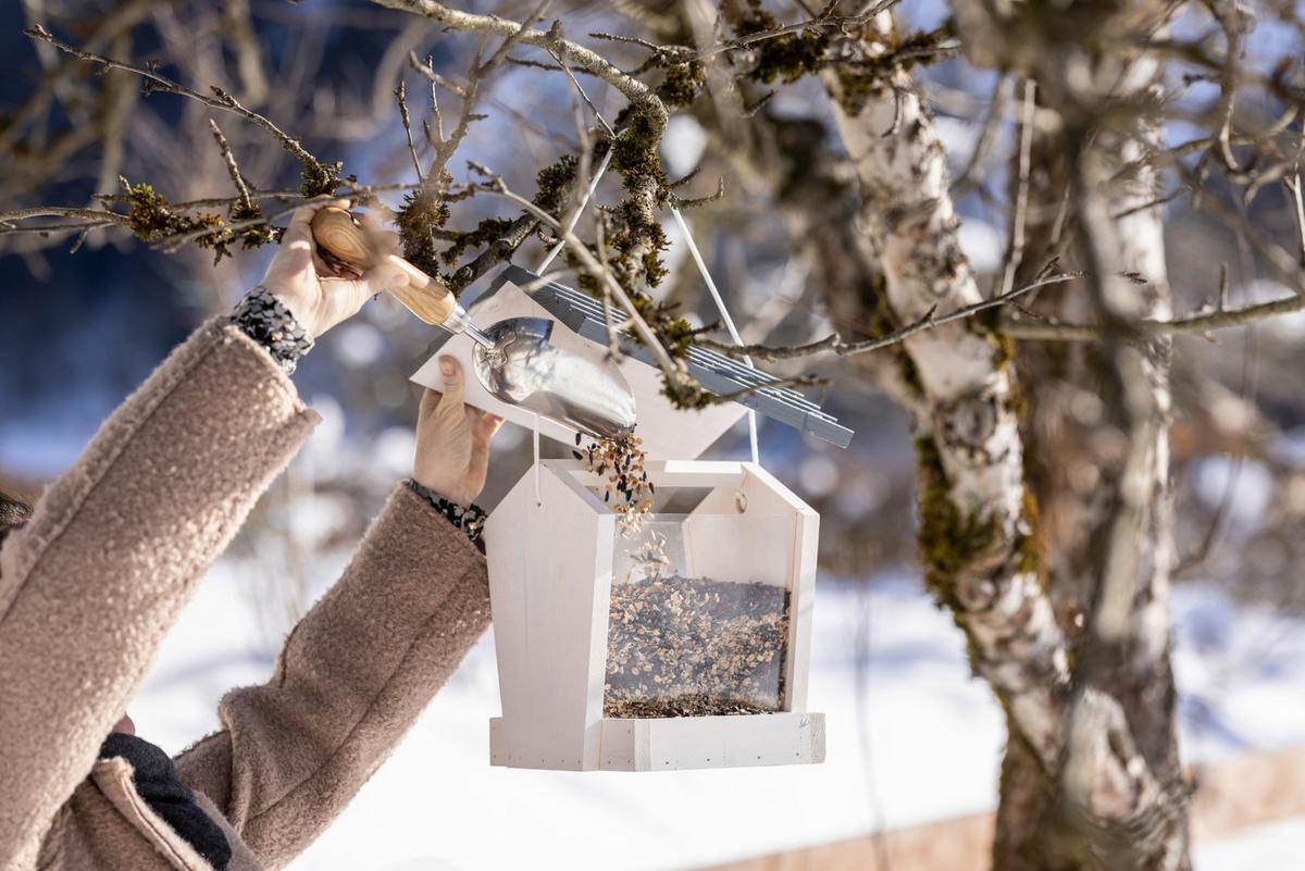 Vogelfutterhaus Karwendel Kiefer - Weiß, Basics, Holz (26,5/26/26,5cm) - Windhager