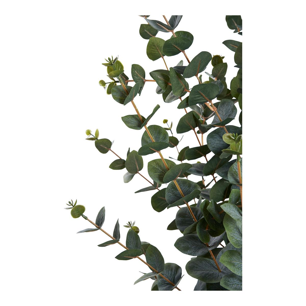KUNSTPFLANZE Eucalyptus Grün B: 46 cm - Grün, Design (46/120/36cm)