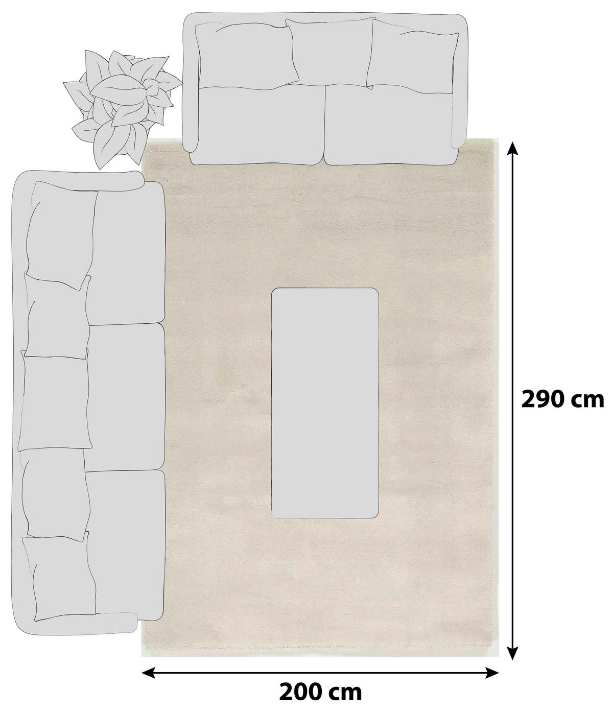 Hochflorteppich Bellevue Creme 200x290 cm - Creme, Basics, Textil (200/290cm) - Novel