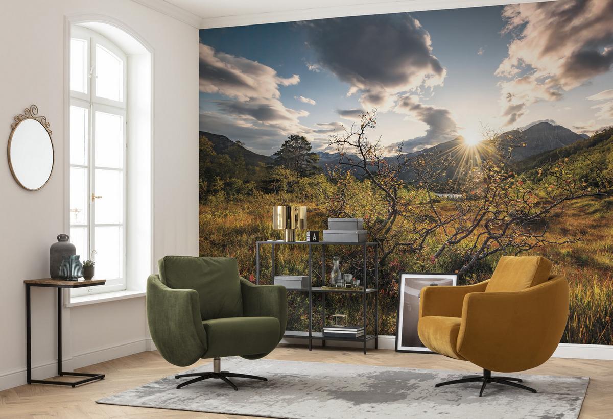 Fototapete Norwegische Herbstwelten - Multicolor, Trend, Textil (450/280cm)