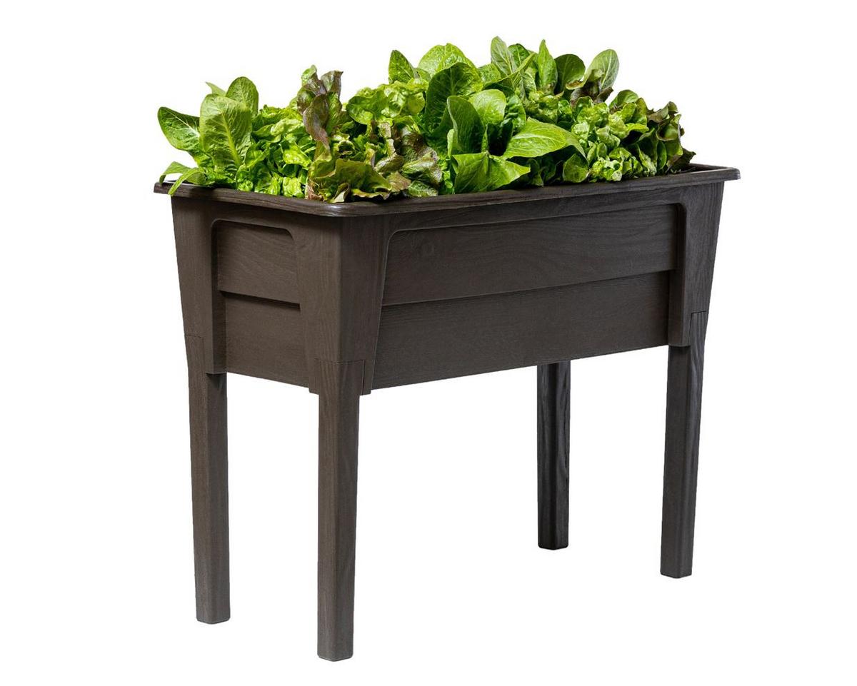 Hochbeet Kunststoff Victoria 78x81x38 cm Braun - Braun, Basics, Kunststoff (78/81/38cm)