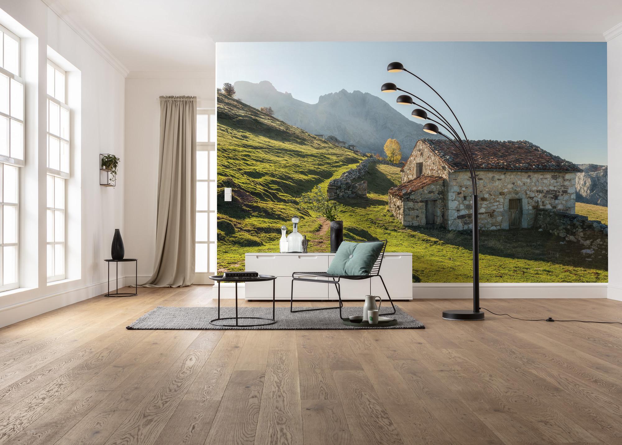 Fototapete Picos De Europe Alm - Multicolor, Trend, Textil (450/280cm)