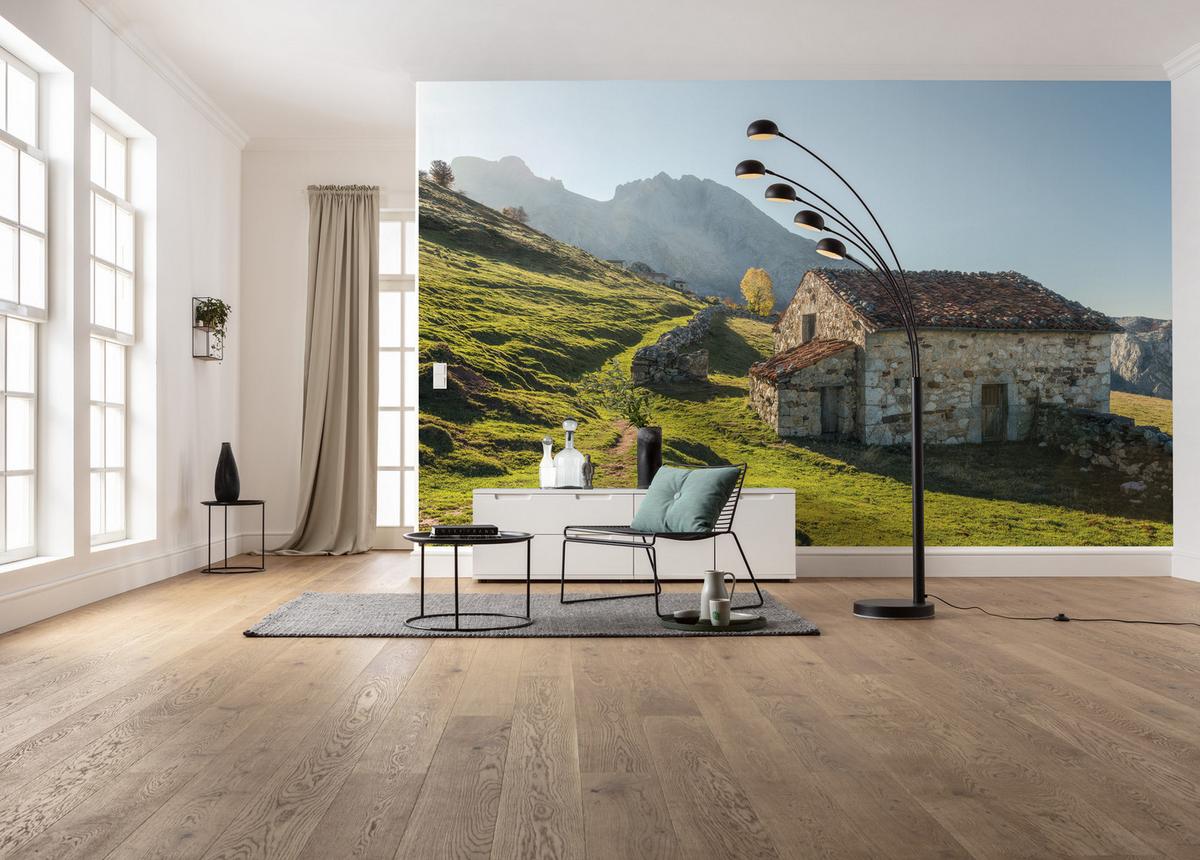 Fototapete Picos De Europe Alm - Multicolor, Trend, Textil (450/280cm)