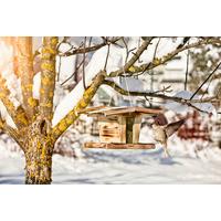 Vogelfuttersilo Chalet, Kiefer BxHxT: 31,5x19,5x24,5 cm - Naturfarben, Basics, Holz (31,5/19,5/24,5cm) - Windhager