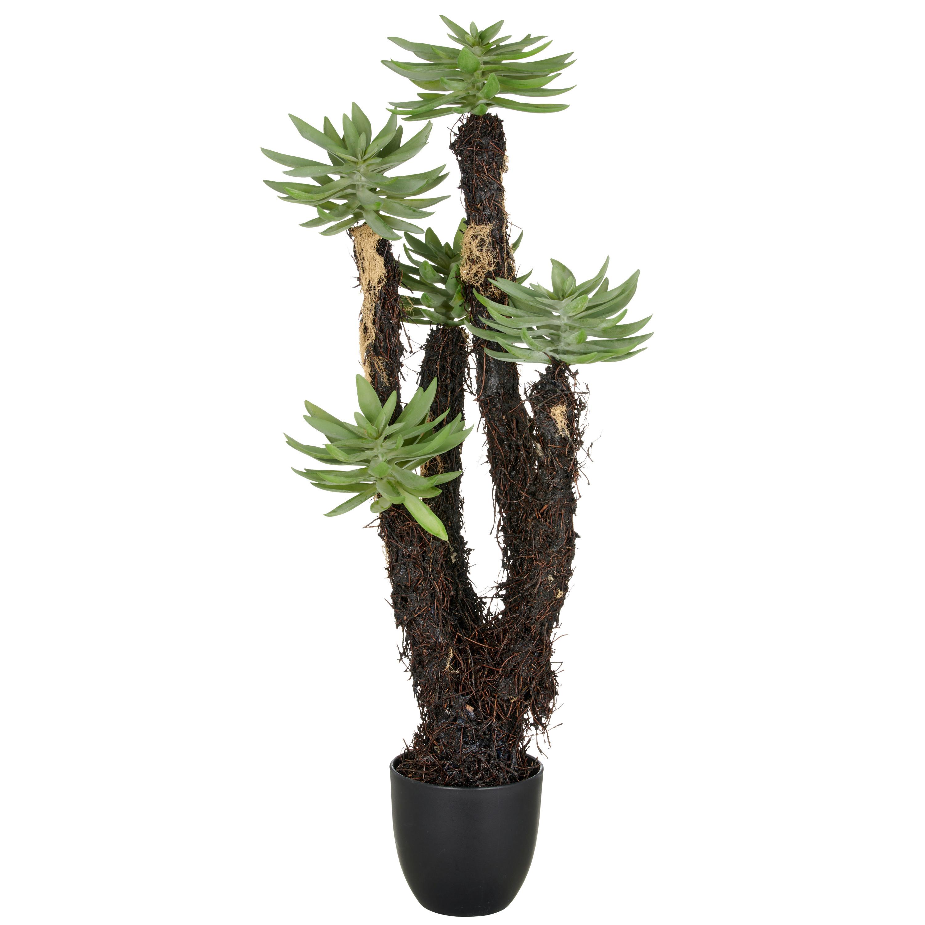 Kunstpflanze Dudleya Kunststoff, Grün, H: 80 cm - Schwarz/Grün, Basics, Kunststoff (80cm) - P & B