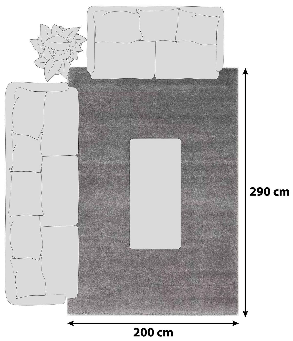 Hochflorteppich Bellevue Grau 200x290 cm - Grau, Basics, Textil (200/290cm) - Novel