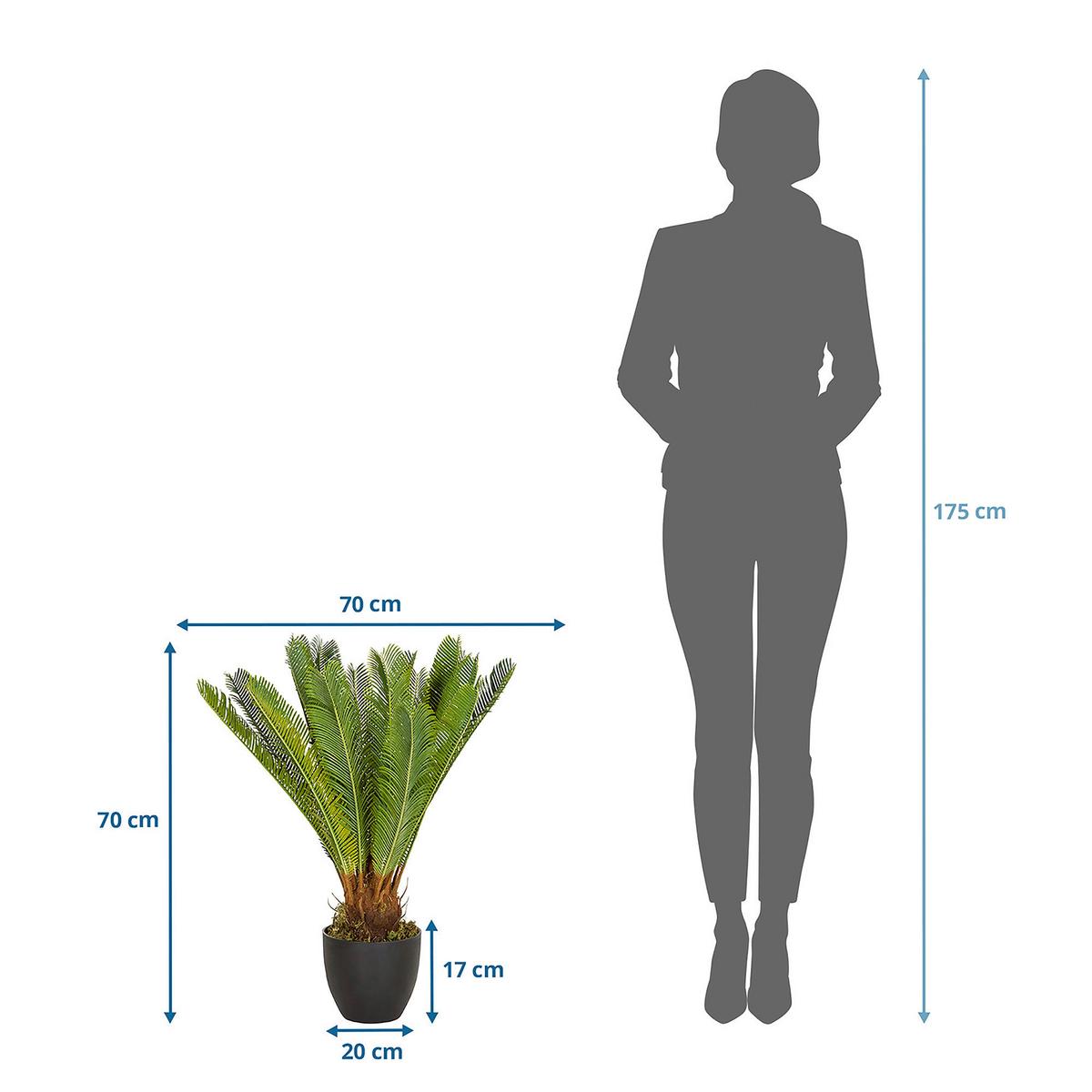 Kunstpflanze Cycas - Schwarz/Grün, Basics, Kunststoff/Textil (70/70/70cm) - MID.YOU