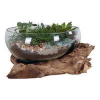 Dekoschale San Marino Klar Teakfarben - Klar/Teakfarben, Basics, Glas/Holz (26/20cm)