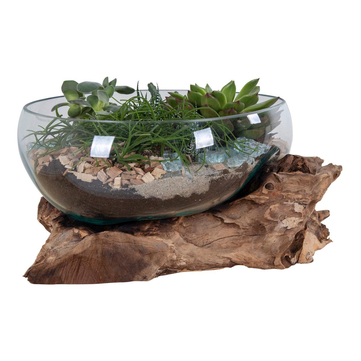 Dekoschale San Marino Klar Teakfarben - Klar/Teakfarben, Basics, Glas/Holz (26/20cm)