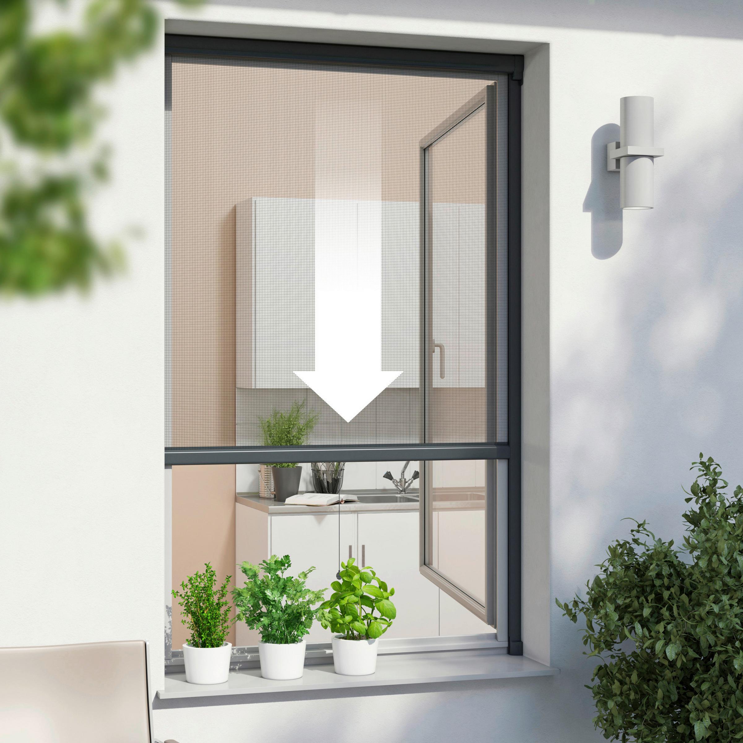 Insektenschutzrollo in Anthrazit