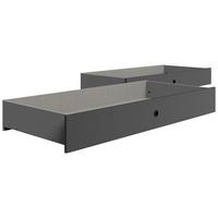 Ágyfiók Barcelona - grafitszürke, Basics, műanyag/faalapú anyag (141/20/61cm) - Livetastic