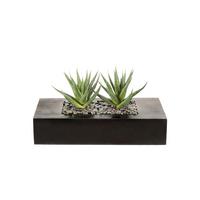 Kunstpflanze Agave, Grün Braun, inkl. Topf, H: 14 cm - Braun/Grün, Design, Holz/Kunststoff (14cm)