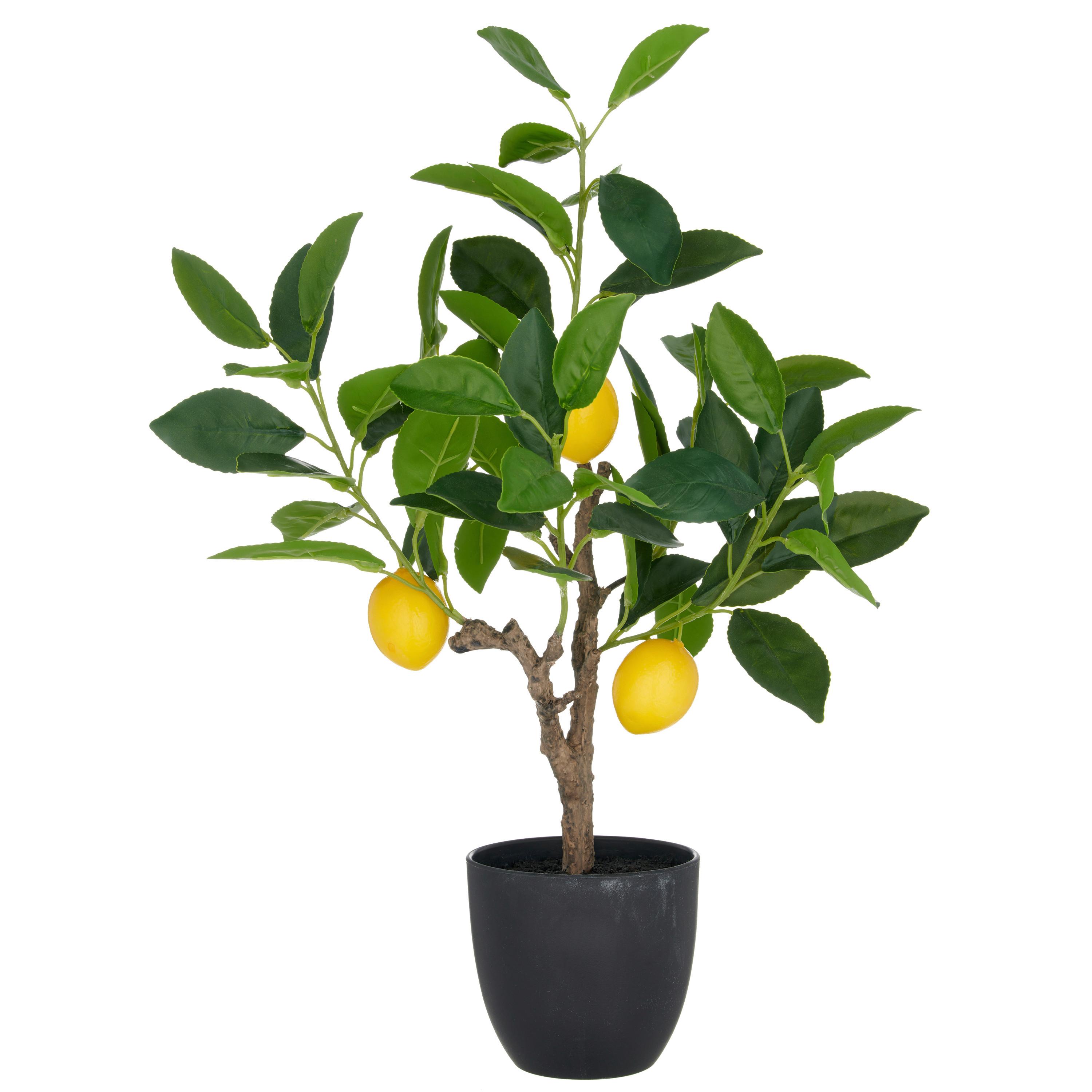 Kunstpflanze Zitronenbäumchen Kunststoff, Grün, H: 48 cm - Gelb/Schwarz, Basics, Kunststoff (48cm) - P & B