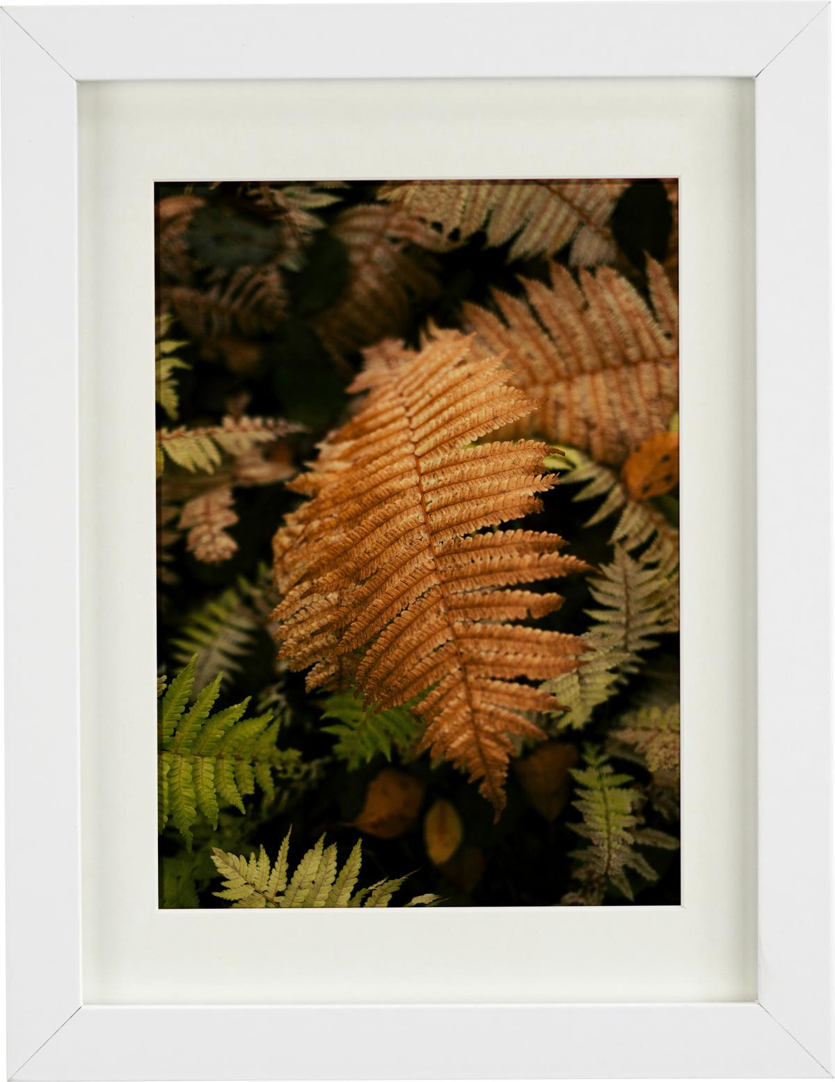 RÁM NA OBRAZY GITTA 40x50 cm - biela, Modern, kompozitné drevo/plast (40/50cm) - Modern Living