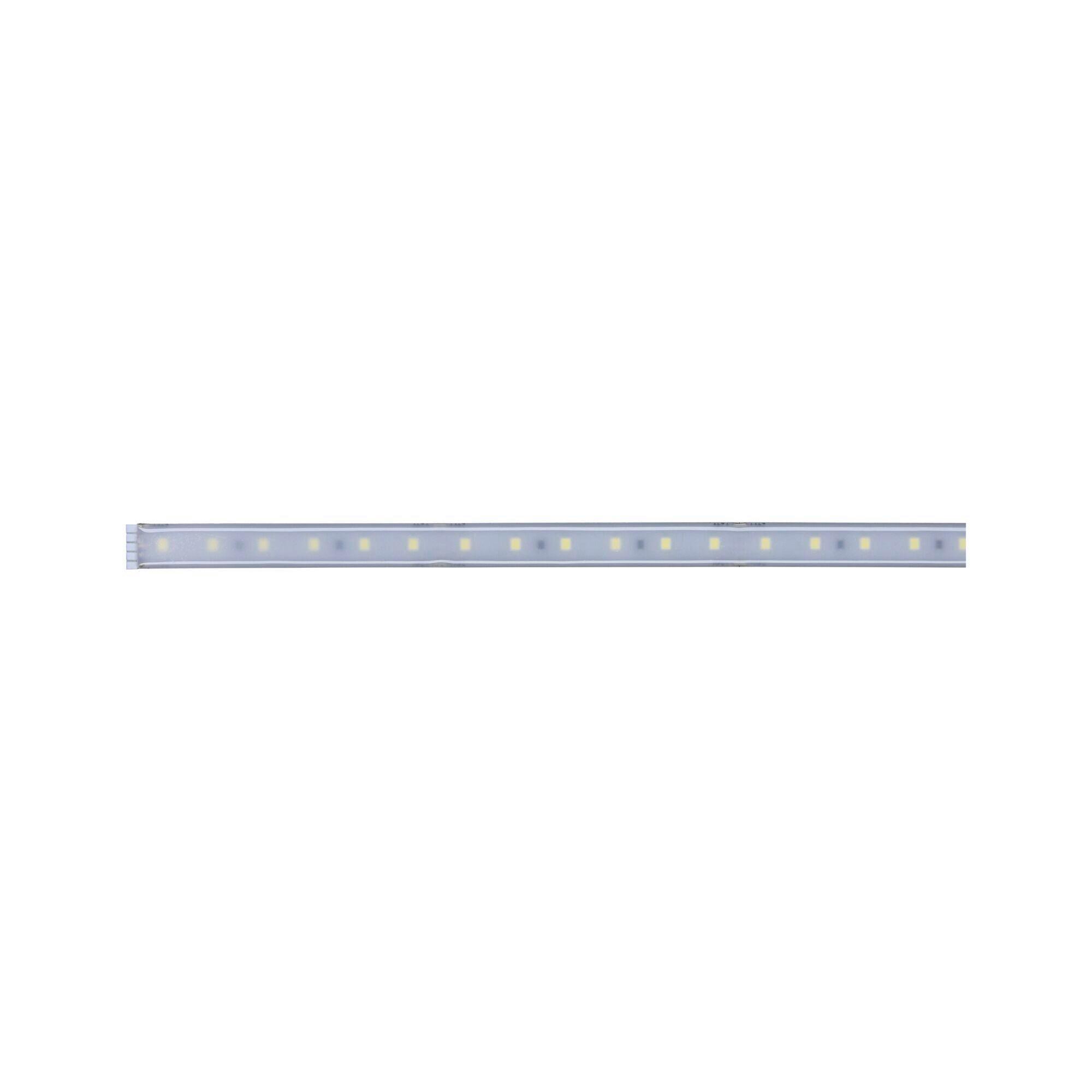 LED-Streifen L: 1 m dimmbar - Silberfarben, Basics, Kunststoff (100cm) - Paulmann
