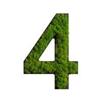 Moosbild Grün B: 25 cm - Schwarz/Grün, Basics, Naturmaterialien/Holz (25/18/2,5cm)