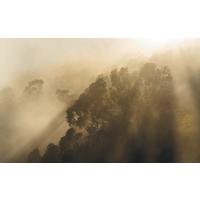Vliestapete Sh067-Vd4 Misty Mountain - Natur (400/250cm)