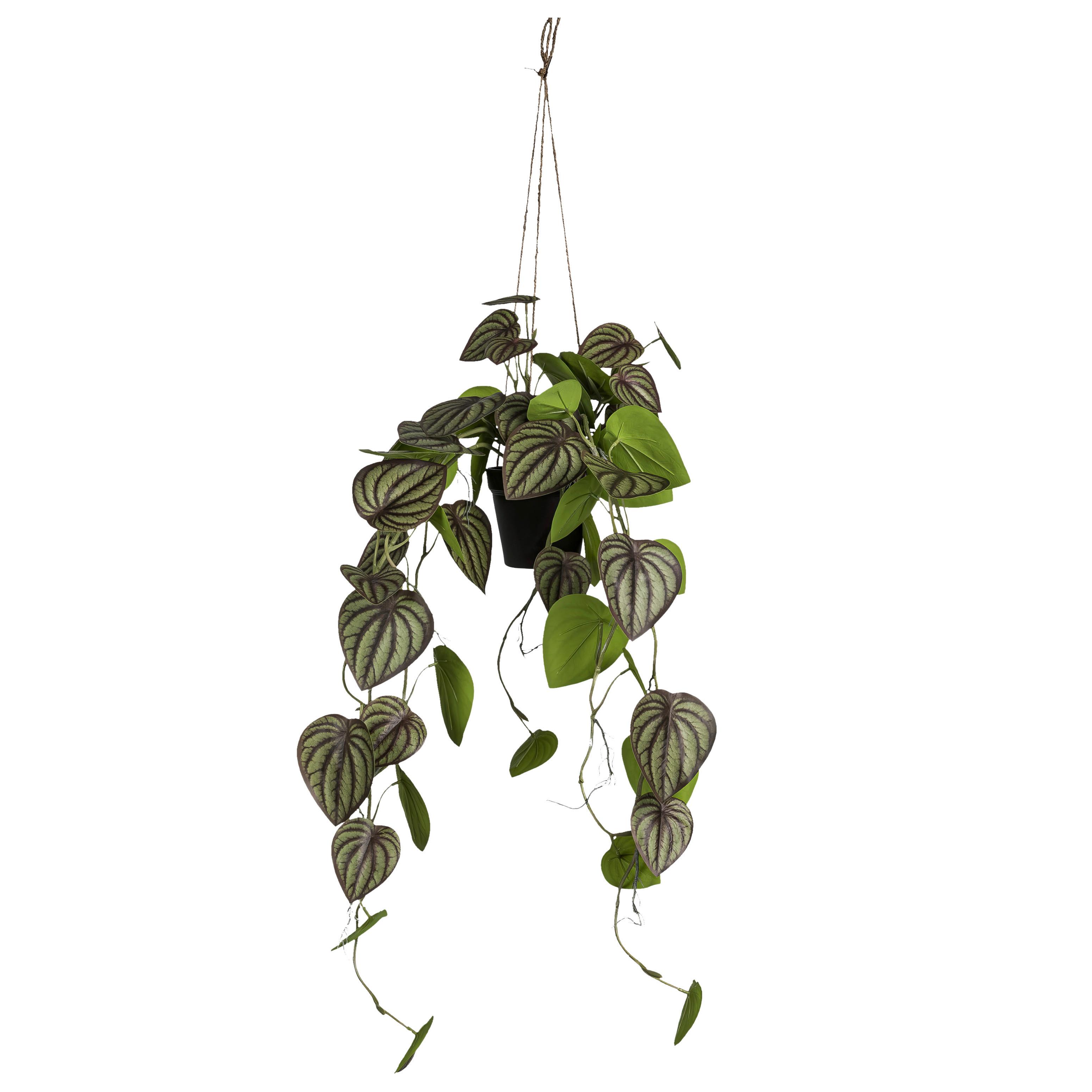 Umělá rostlina ZWERGPFEFFER, V: 85 cm - černá/zelená, Konvenční, plast (85cm) - Mömax