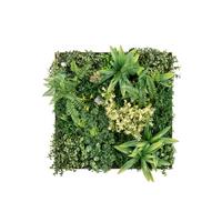 Dekogras Hannelore - Grün, KONVENTIONELL, Kunststoff (50/50cm) - Luca Bessoni