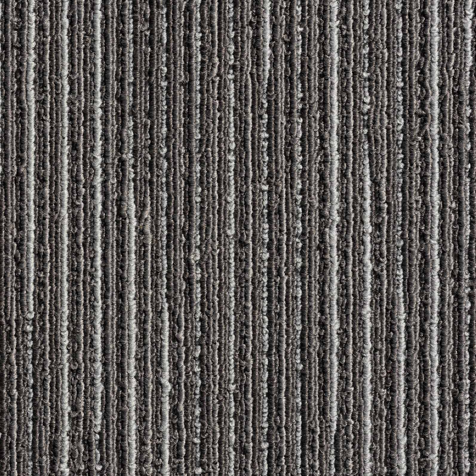 Teppichfliese Hellgrau Essential 50x50cm Florhöhe 3mm - Hellgrau, Basics, Textil (50/50cm)