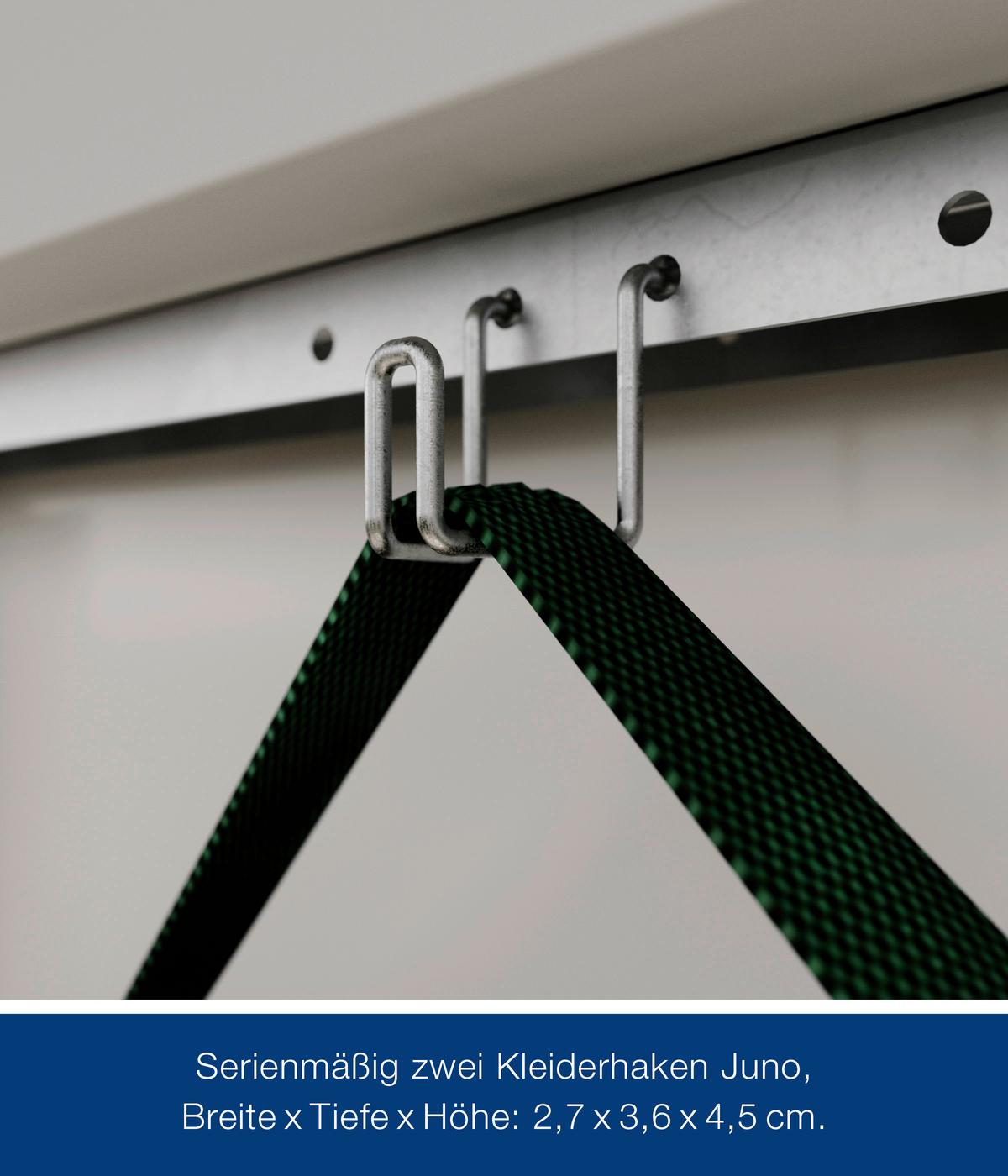 Gerätehaus Juno Satteldach Jsd2 - Anthrazit, Basics, Metall (189/219/181cm)