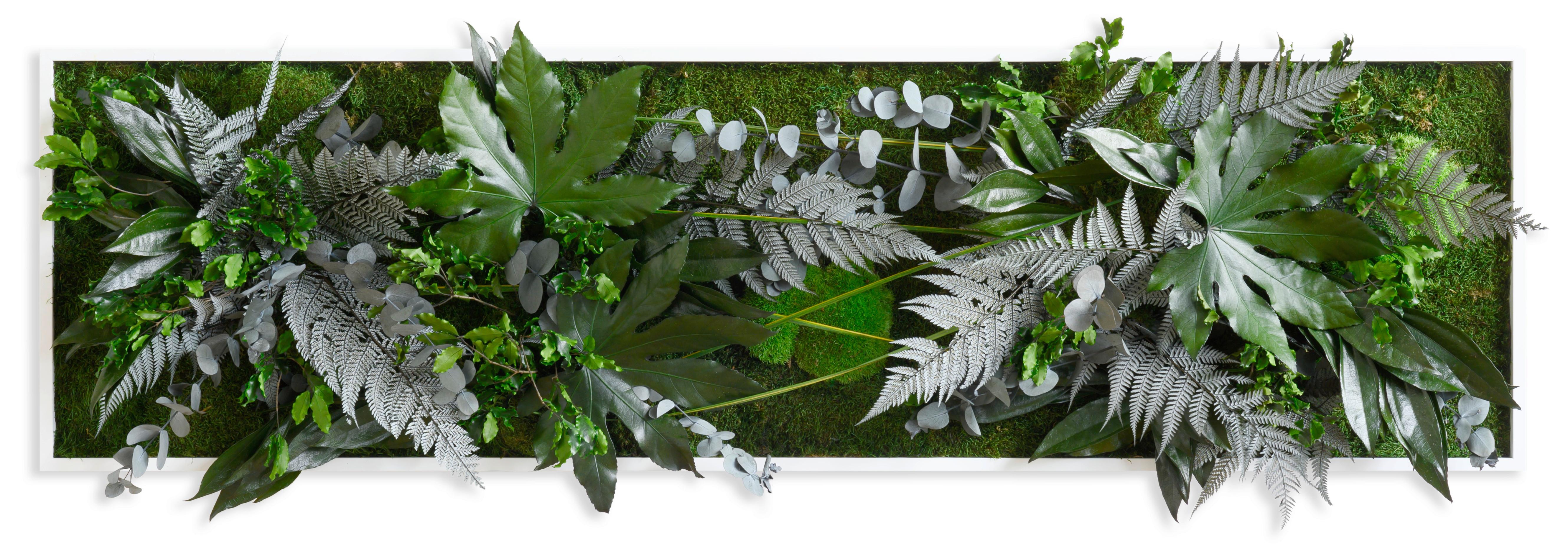 Moosbild Moos Grün B: 140 cm - Weiß/Grün, Basics, Naturmaterialien/Holz (140/40/18-22cm)