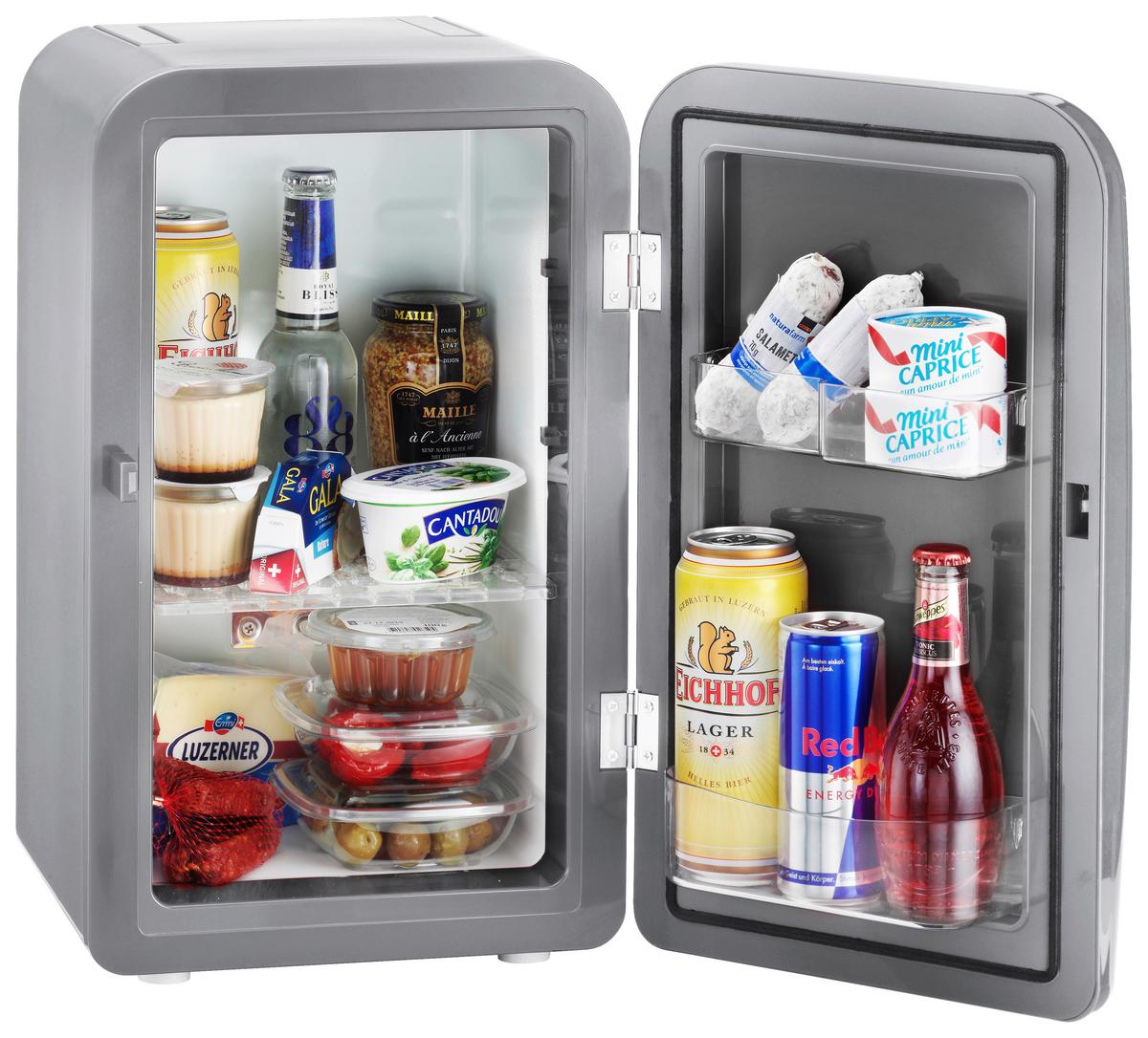 Kühlbox 17 Liter Frescolino P Plus Tragegriff Silberfarben - Silberfarben, KONVENTIONELL, Kunststoff (32/28,5/46cm) - Trisa Electronics