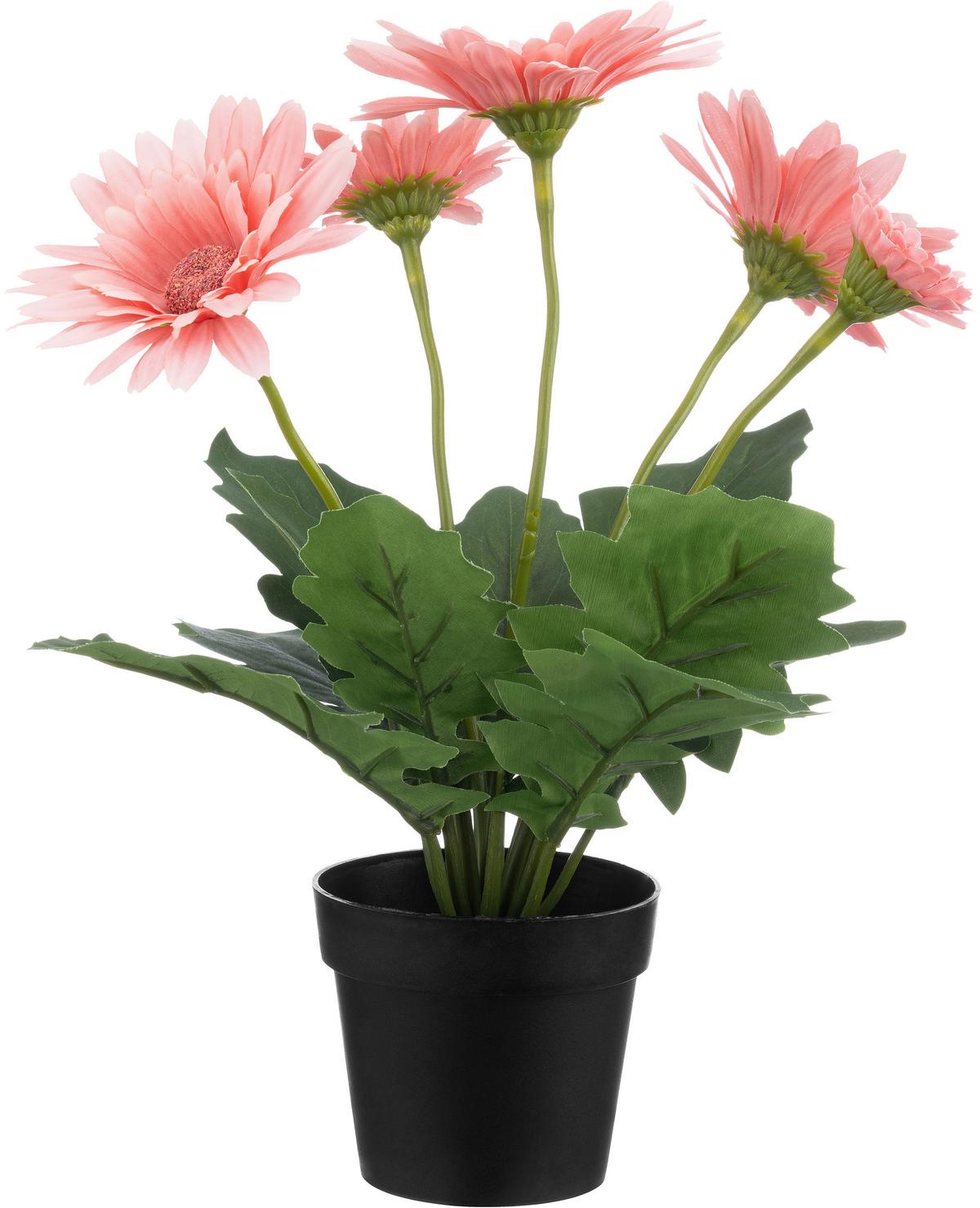 Dekoblume Anita - Elfenbein/Pink, KONVENTIONELL, Kunststoff (10/30cm) - Luca Bessoni