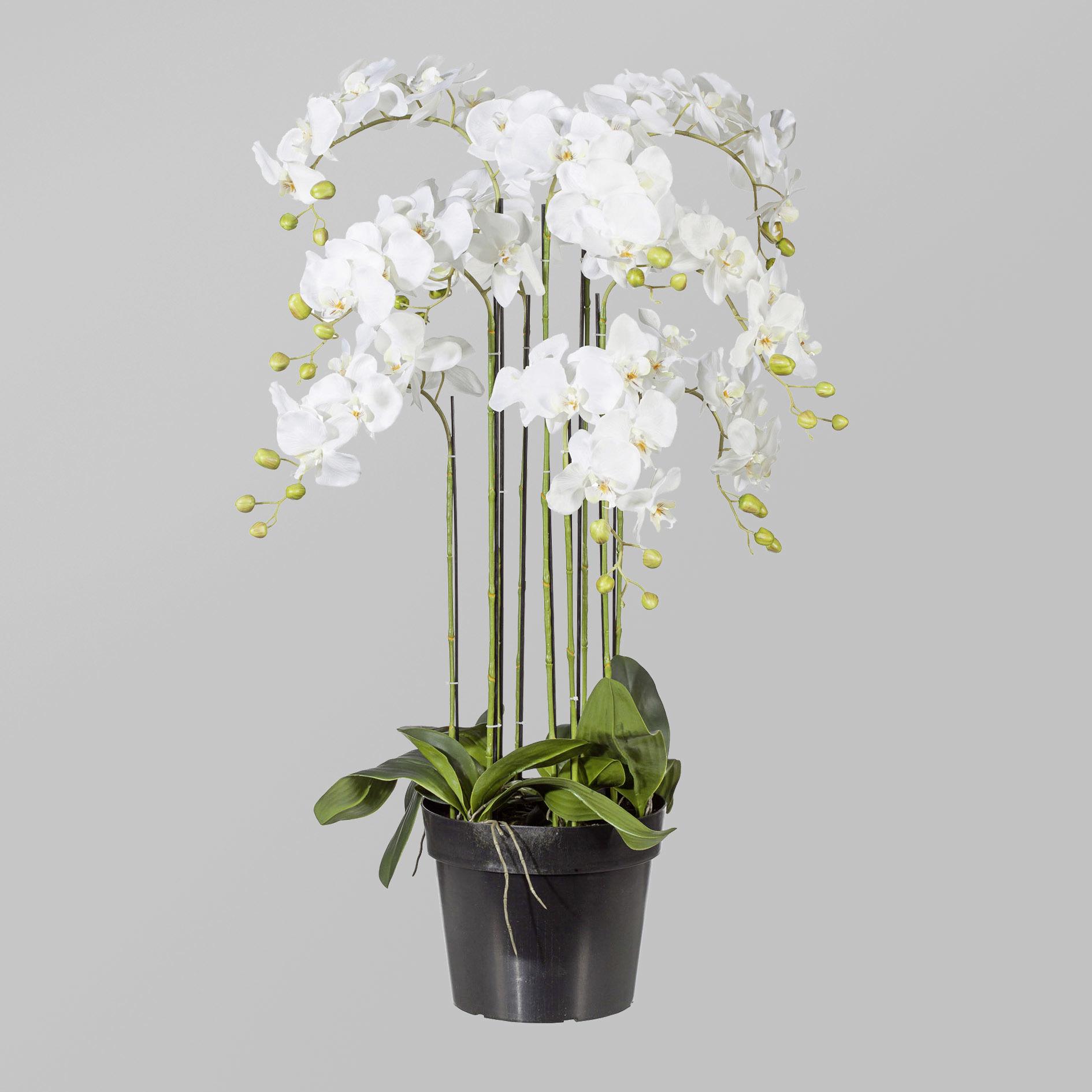 Kunstpflanze Orchidee Weiß H: 110 Cm Mit Topf - Weiß/Grün, Basics, Kunststoff (110cm) - P & B