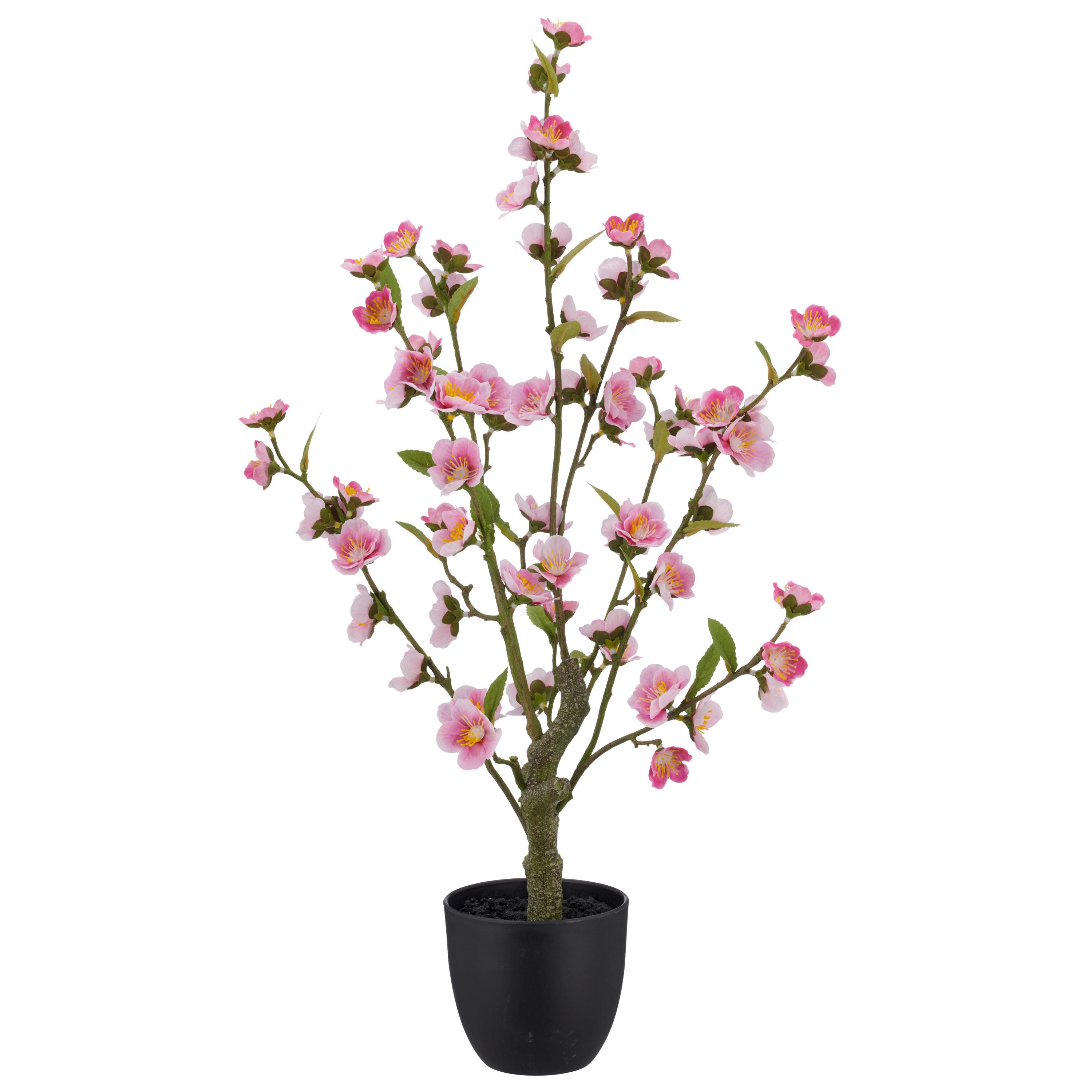 Kirschblütenzweige im Topf rosa, Höhe ca. 64 cm - Schwarz/Rosa, Basics, Kunststoff (64cm)