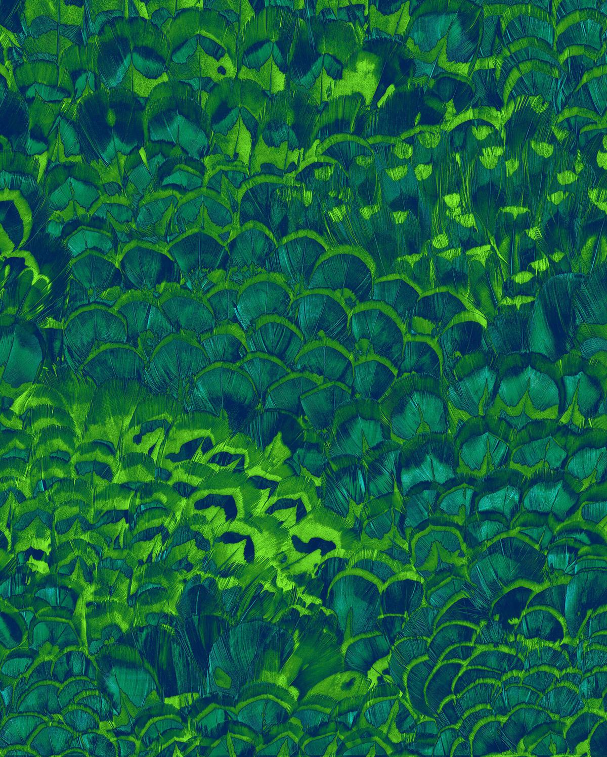 Vliestapete P019-Vd2 - Grün, Trend (200/250cm)