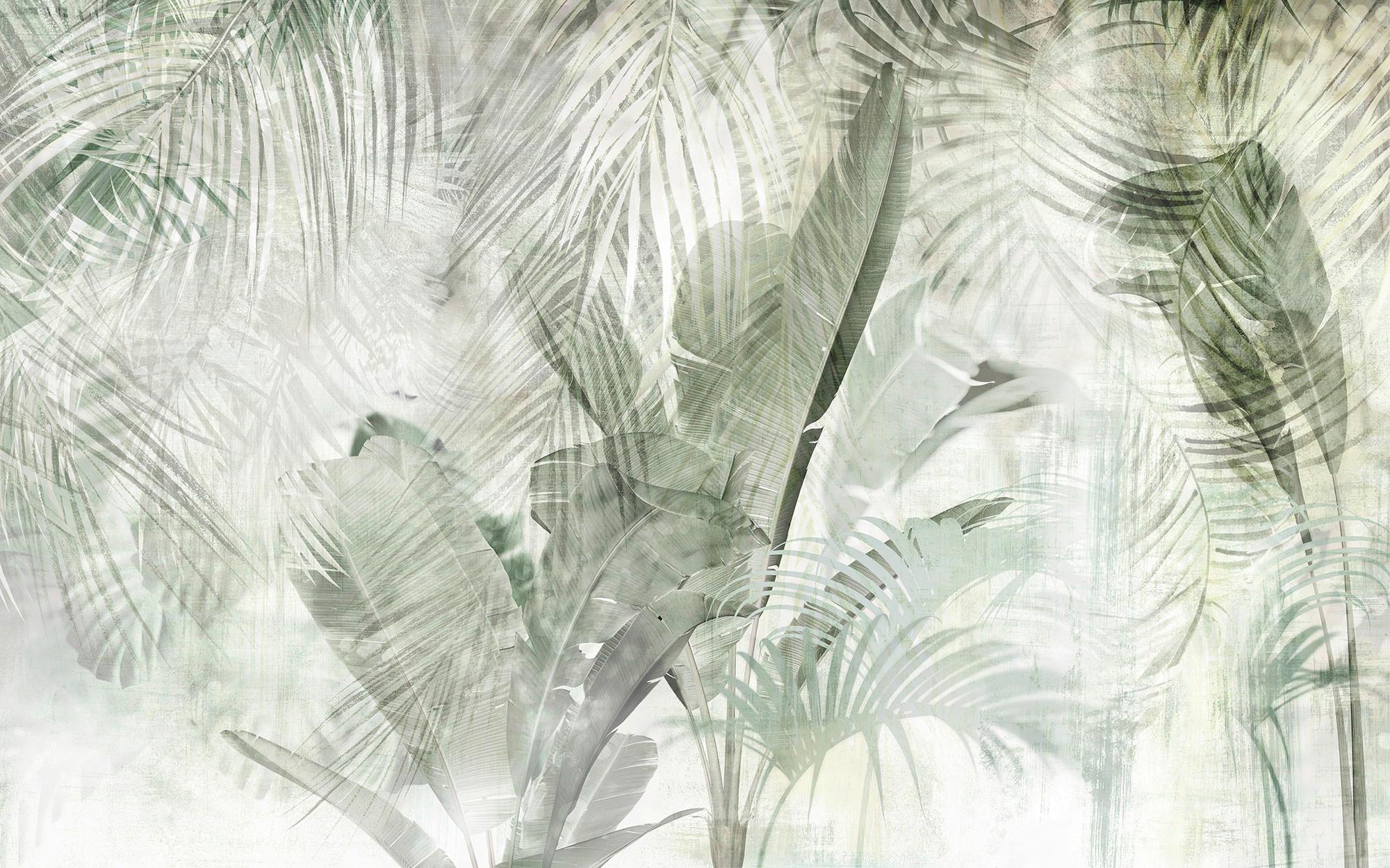 Vliestapete Botanical Boho - Weiß/Grün, Basics (400/250cm) - Komar