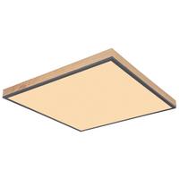 LED-Deckenleuchte Doro L: 59 cm - Opal/Graphitfarben, Basics, Kunststoff/Metall (59/59/6.5cm) - Globo