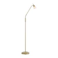 LED-Stehleuchte 400-60 Pino - Messingfarben, Basics, Glas/Metall (74/74/163cm) - Paul Neuhaus