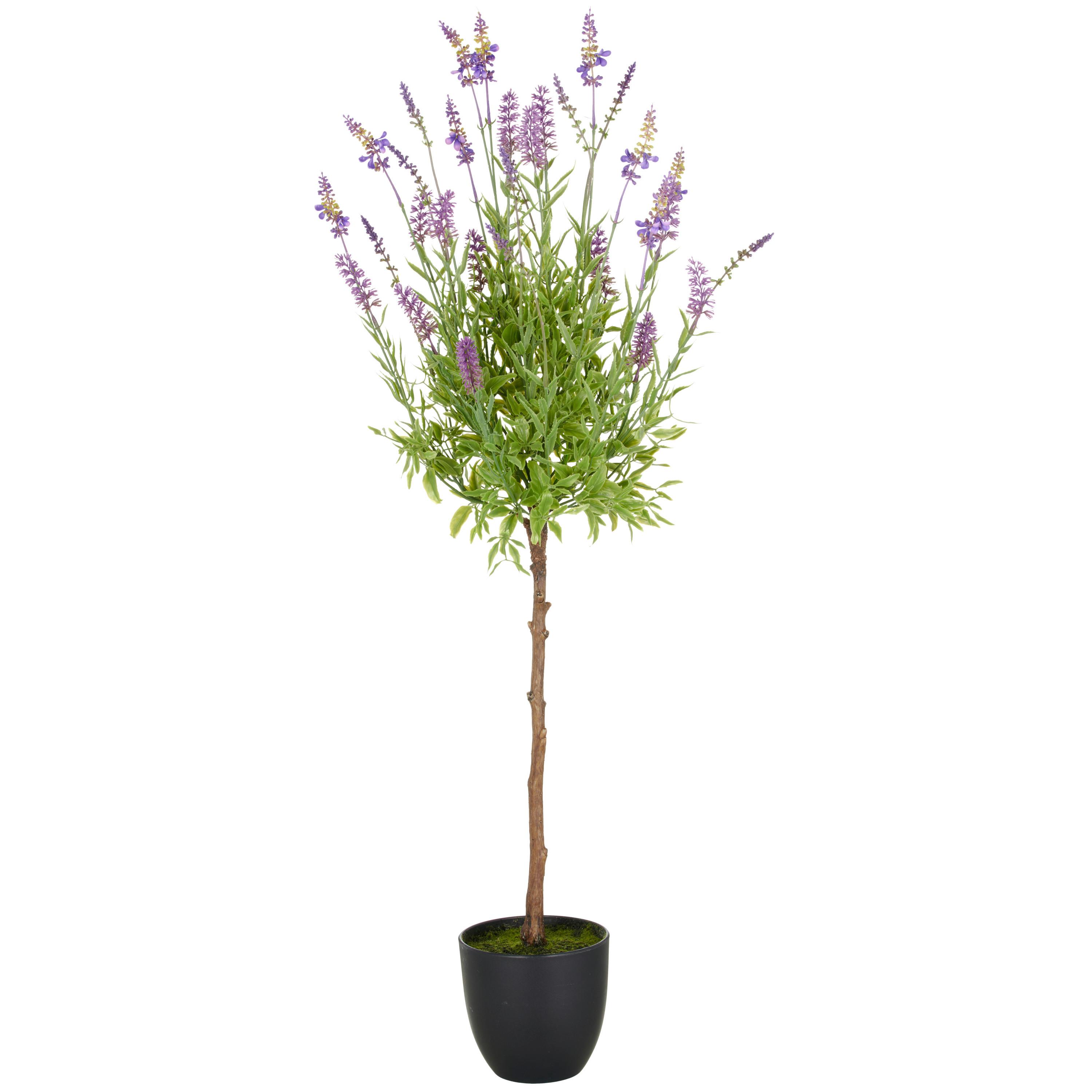 Kunstpflanze Grün Lila B: 20 cm - Lila/Schwarz, Basics, Kunststoff (20/100/20cm) - P & B