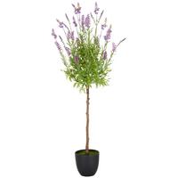 Kunstpflanze Grün Lila B: 20 Cm - Lila/Schwarz, Basics, Kunststoff (20/100/20cm) - P & B