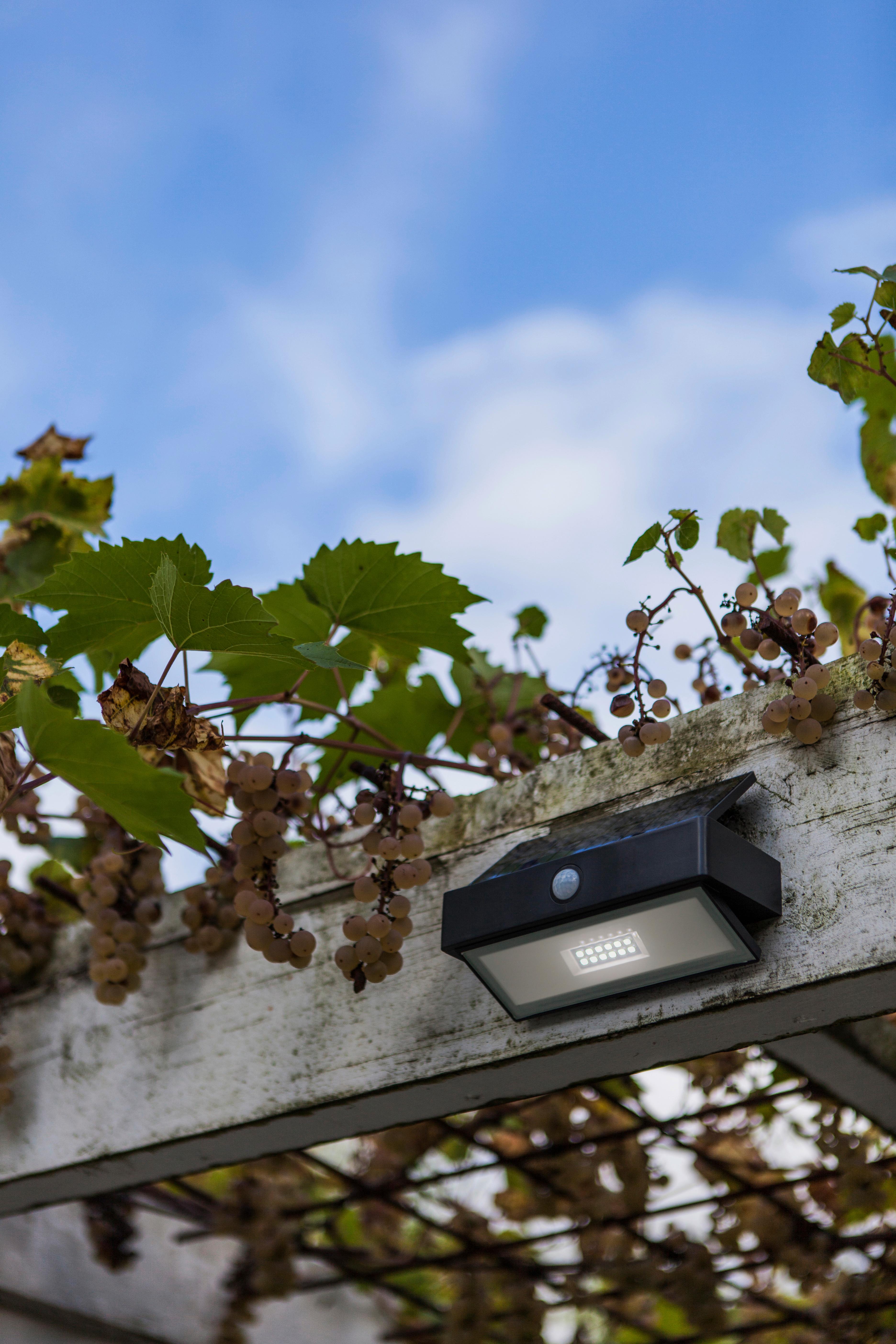Solarbetriebene Außenwandleuchte