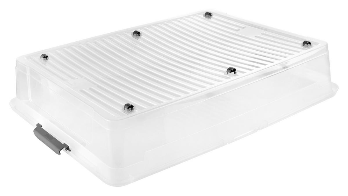 Unterbettroller Leo - Transparent, Basics, Kunststoff (77 cm/58 cm/16 cmcm)