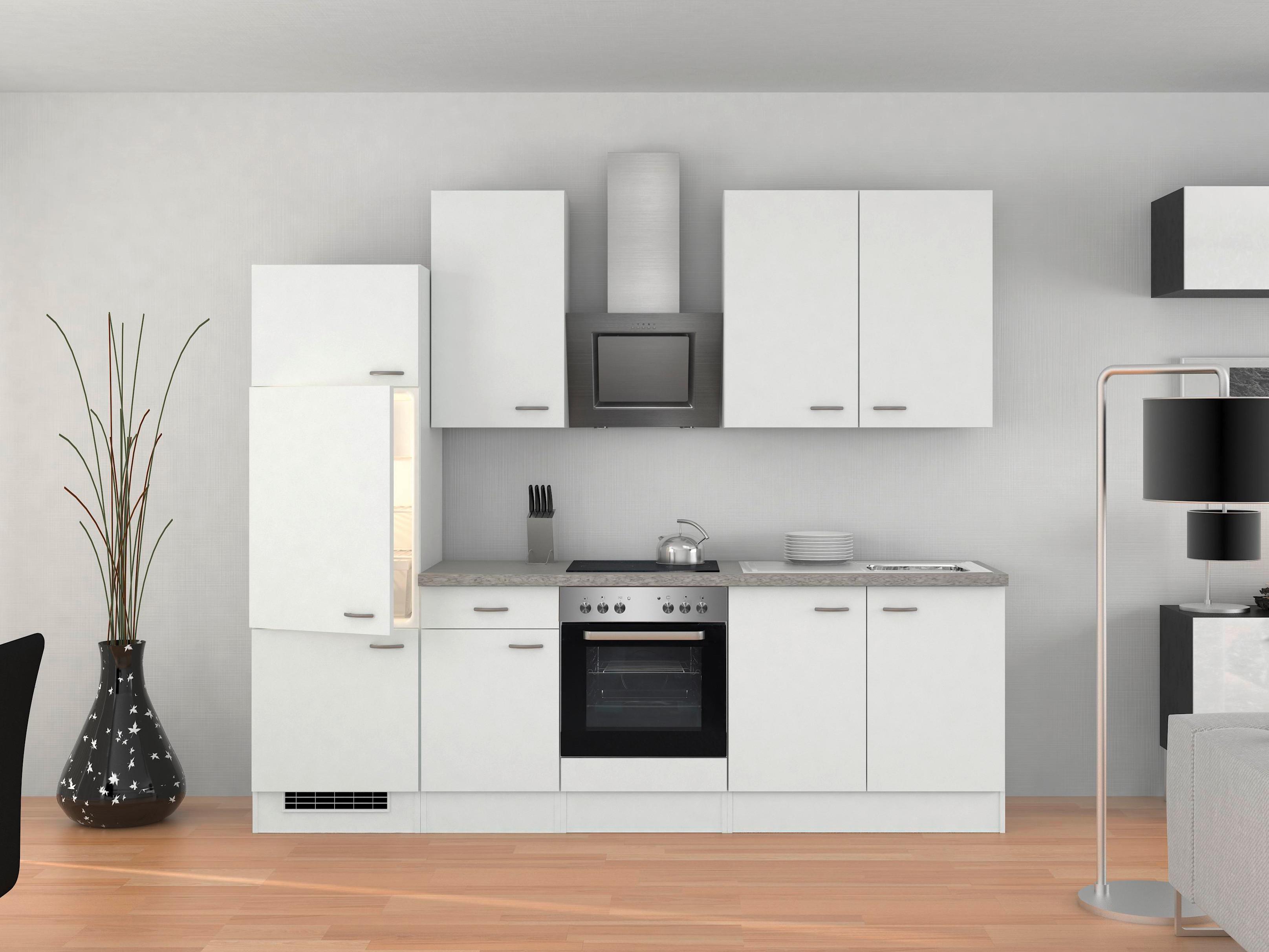 Küchenzeile Wito mit Geräten 270 cm Grau/Weiß Elegant - Hellgrau/Weiß, MODERN, Holzwerkstoff (270cm) - FlexWell