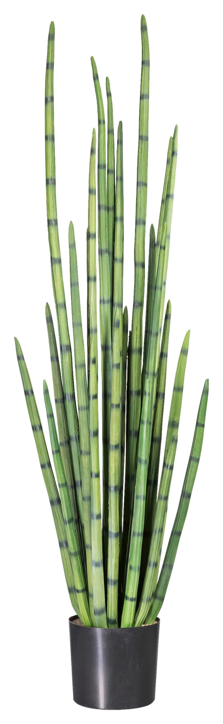 Kunstpflanze Sukkulenten Grün/schwarz, 140 Cm - Schwarz/Grün, Design, Kunststoff (140cm) - P & B