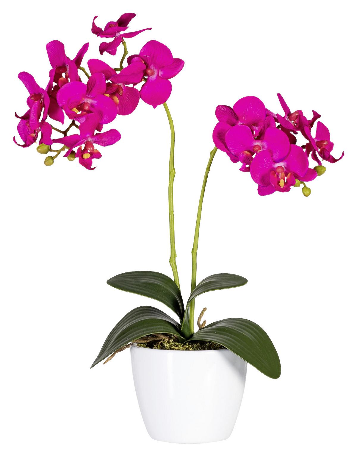 Kunstpflanze Orchidee Bunt L: 40 cm Im Topf, Sofie - Lila/Multicolor, Natur, Kunststoff (40cm)