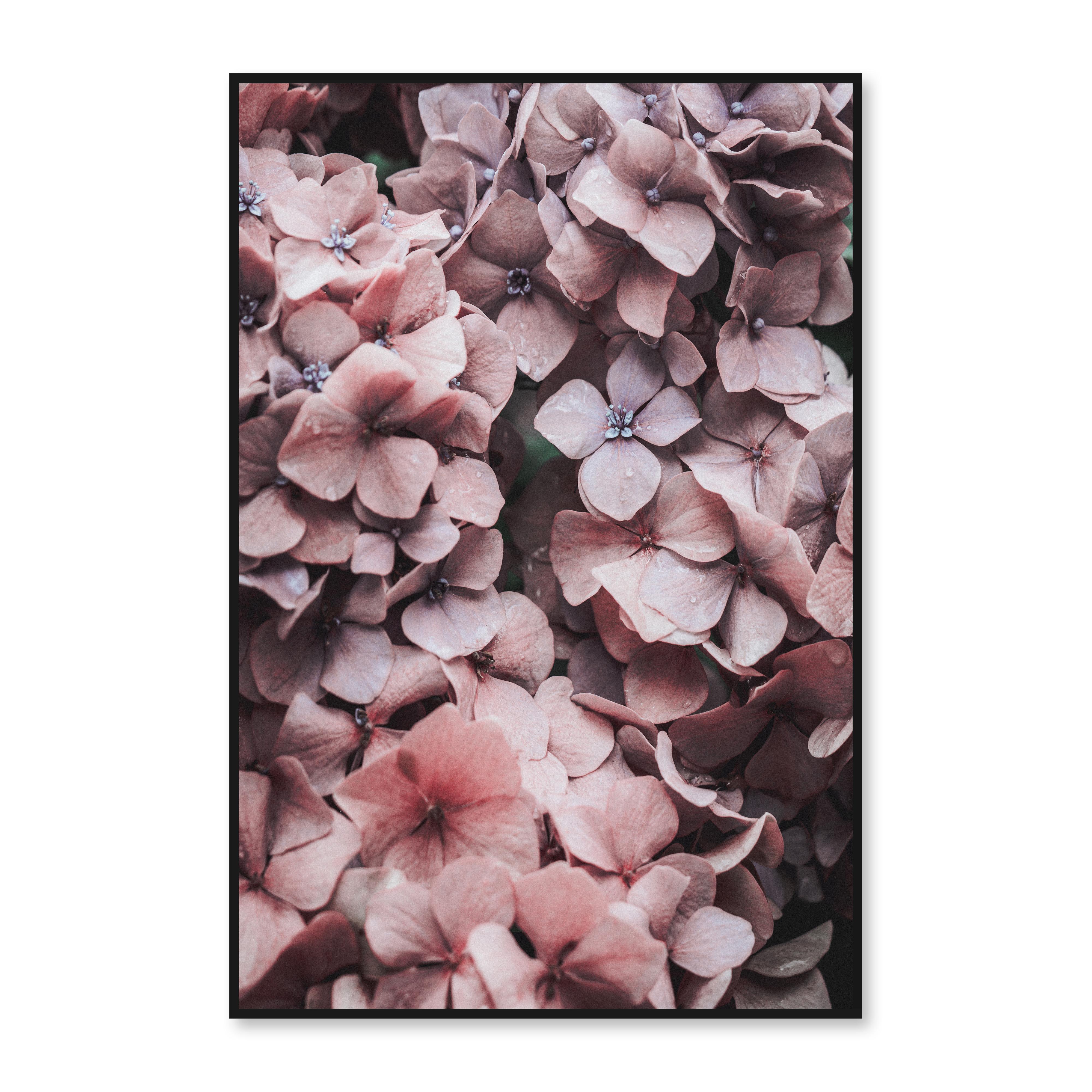 Obraz S Klínovým Rámom Denise, 60/90cm - pink/čierna, kompozitné drevo/plast (61,4/91,4cm) - Modern Living